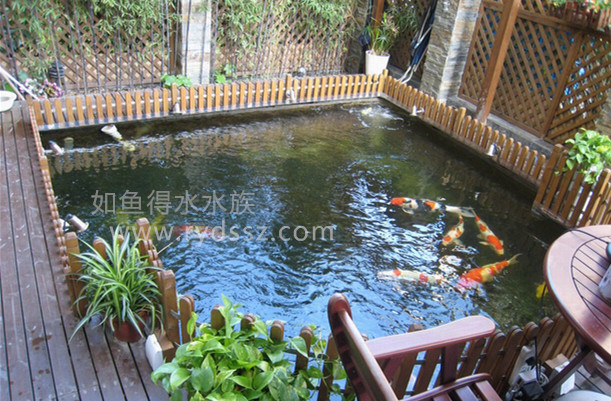 成都锦鲤池